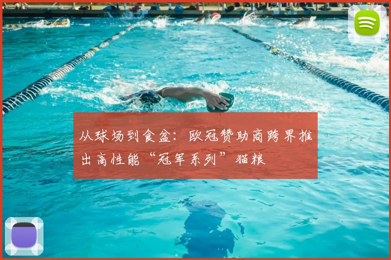 从球场到食盆：欧冠赞助商跨界推出高性能“冠军系列”猫粮