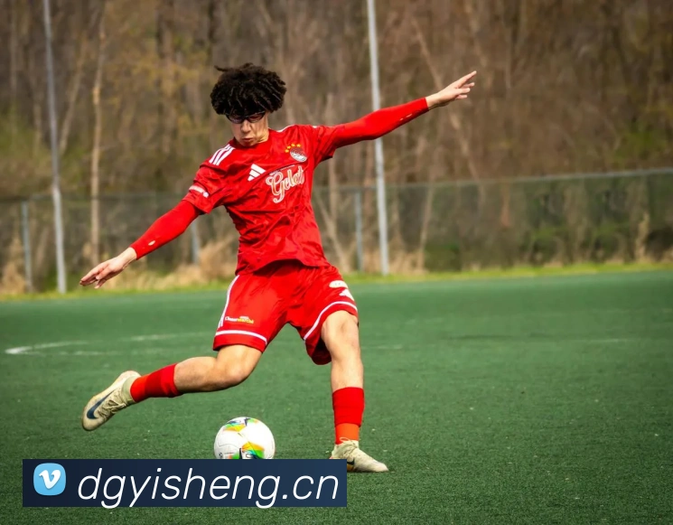 九游在线登陆官网平台生态图